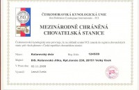 /album/fotogalerie-uvodni-stranka/a1-jpg1/