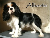 /album/rodice/alberto-kp-jpg/