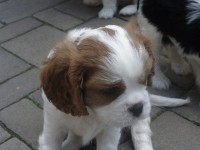 /album/andy-/p6041185-jpg/