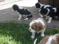 /album/andy-/p6041181-jpg/