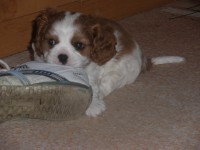 /album/andy-/p6021159-jpg/