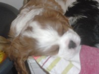 /album/andy-/p6011156-jpg/