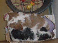 /album/andy-/p6011149-jpg/