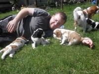 /album/andy-/p6041171-jpg/