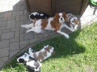 /album/andy-/p6041177-jpg/