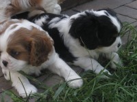 /album/andy-/p6041186-jpg/