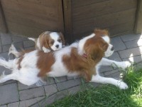 /album/akim/p6041176-jpg/