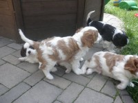 /album/akim/p6041182-jpg/