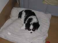 /album/artus/p5301126-jpg/