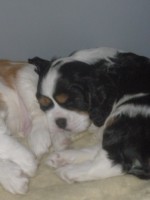 /album/artus/p6011153-jpg/