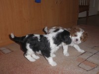 /album/artus/p6021160-jpg1/